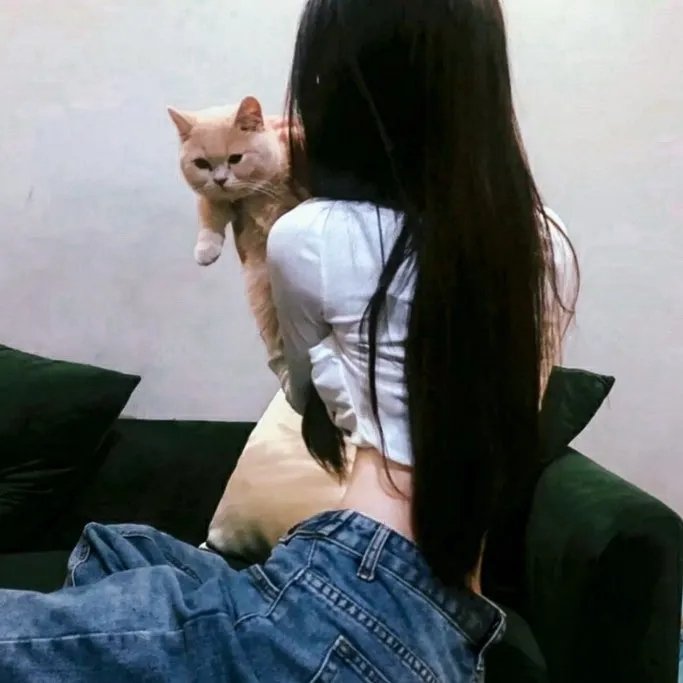 玫瑰皇后